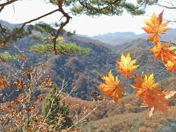 渠县药流打胎后中医调理（流产中药调理）